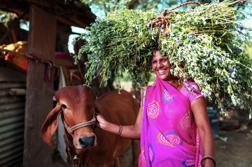 Hindustan Zinc Enables Sustainable Livelihood For Dairy Farmers 